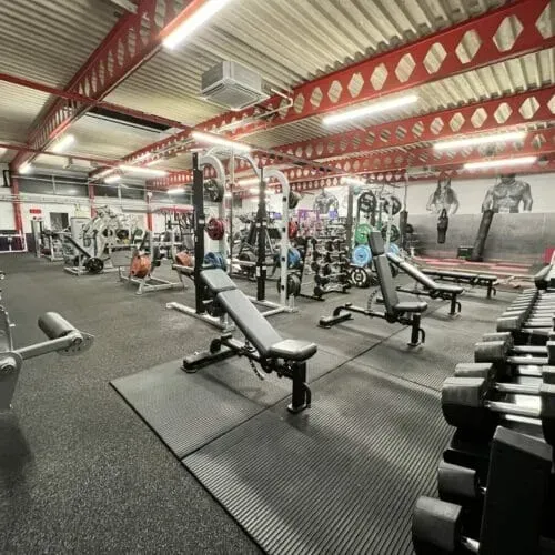 A wide-angle view of a gym interior featuring weight racks, multiple adjustable benches, and a rack of dumbbells.