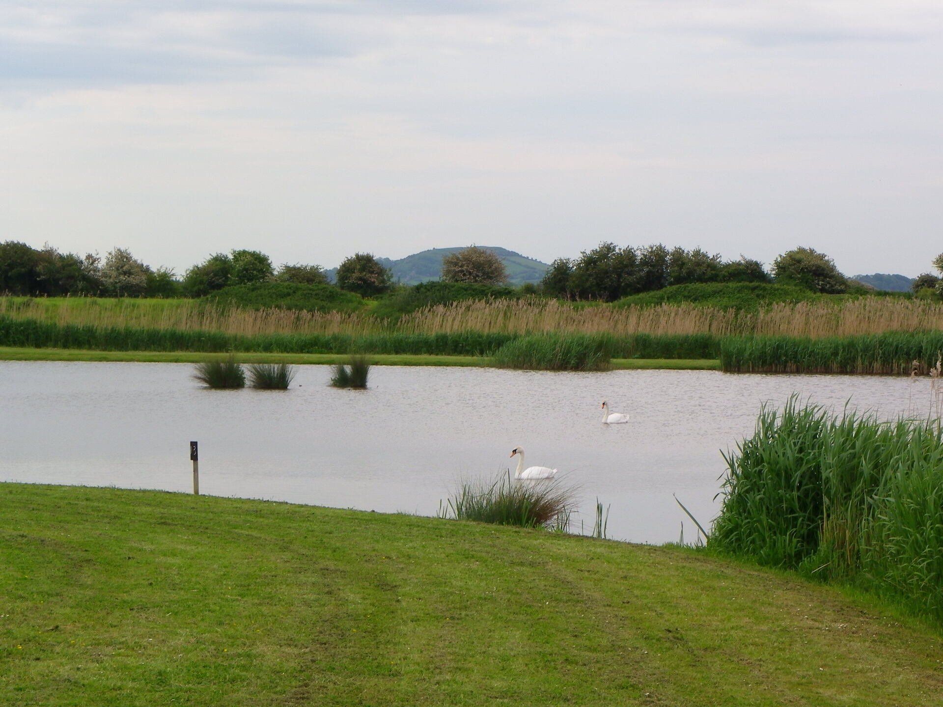 Fishing lake by the river axe in somerset