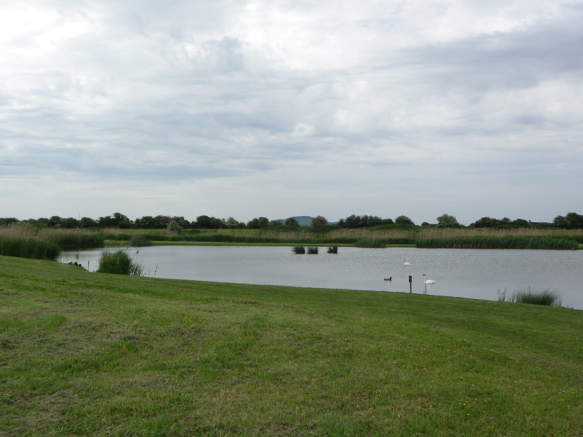 Fishing lake in Somerset