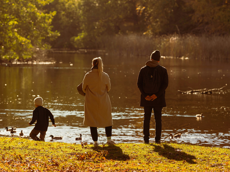 Autumn breaks