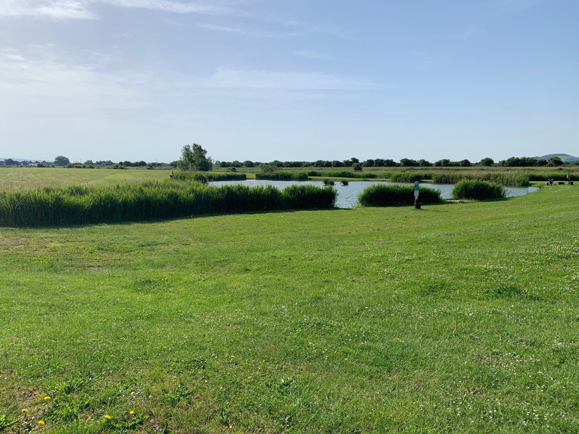 Freshly cut grass around the fishing lake