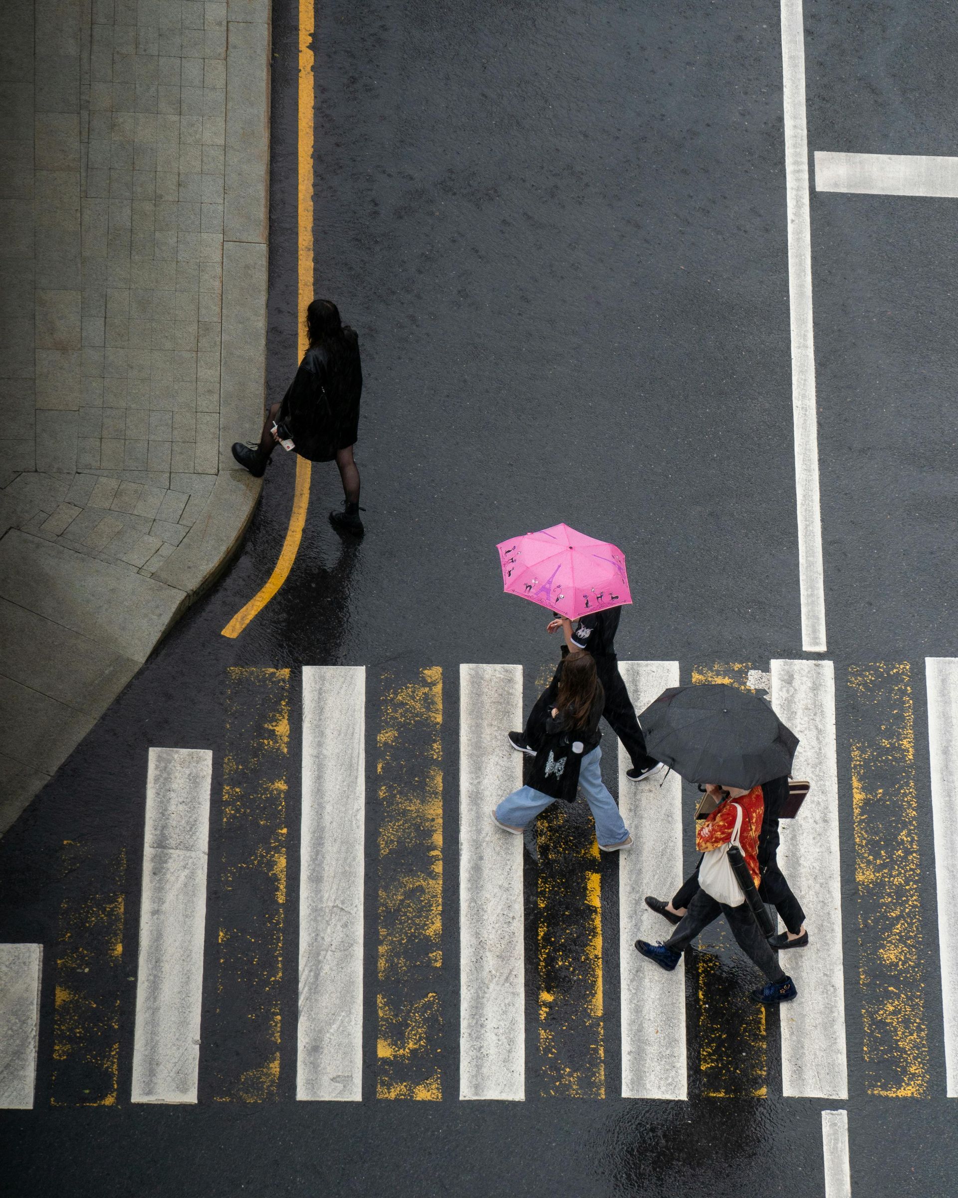 People with umbrellas crossing a wet, white-striped crosswalk in a city. One person walks on the sidewalk.