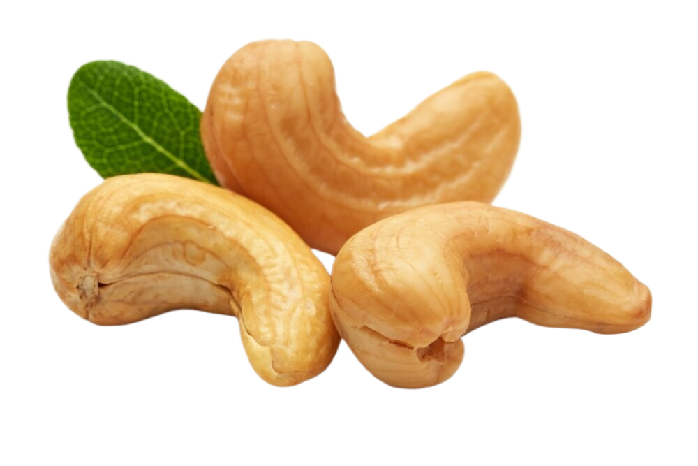 Cashews with a green leaf on a white background