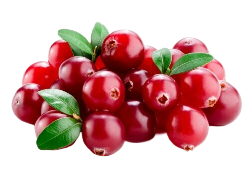 A pile of cranberries with green leaves on a white background