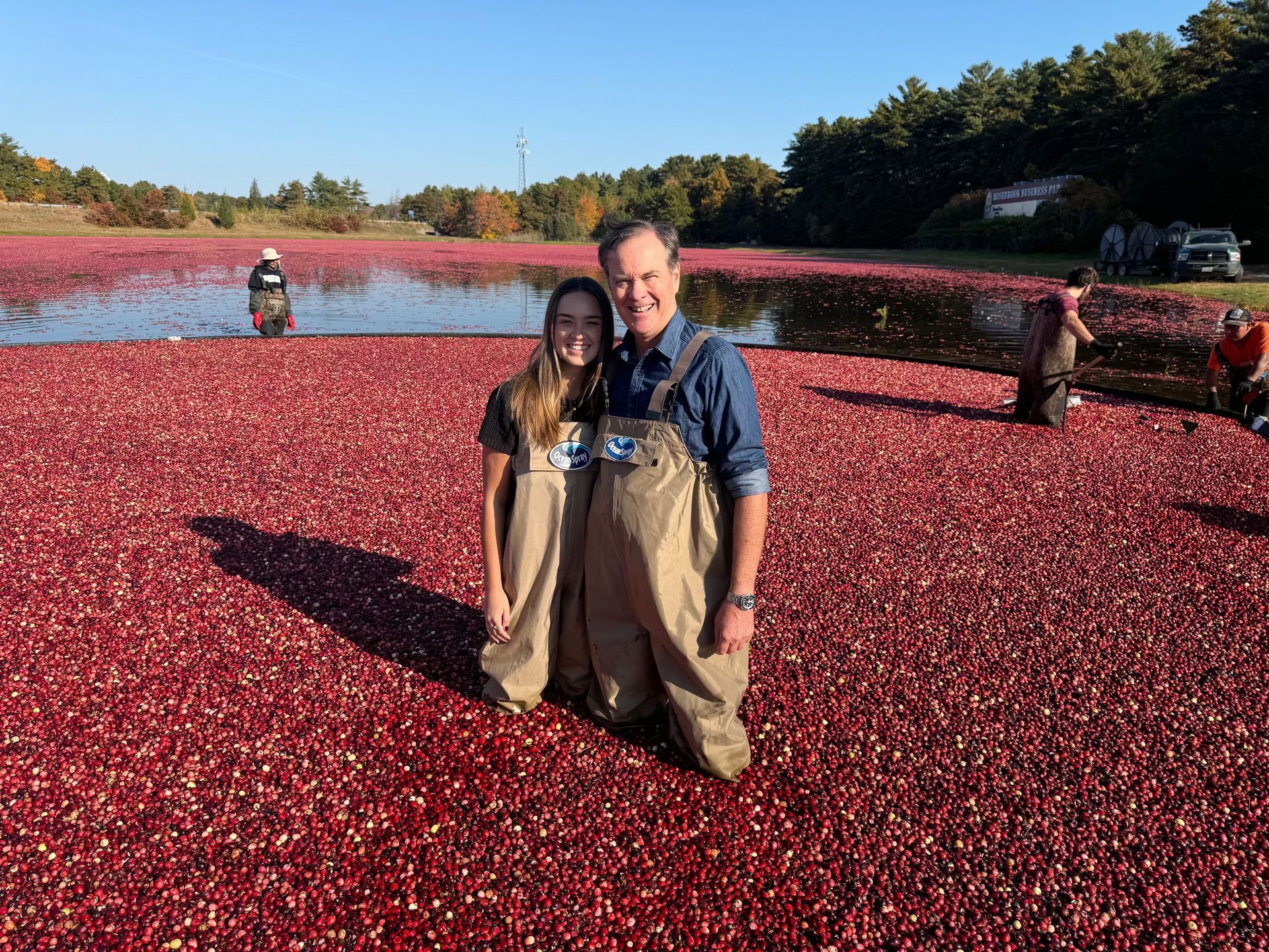 Caroline Kelly and Michael Kelly are standing in a cranberry bog