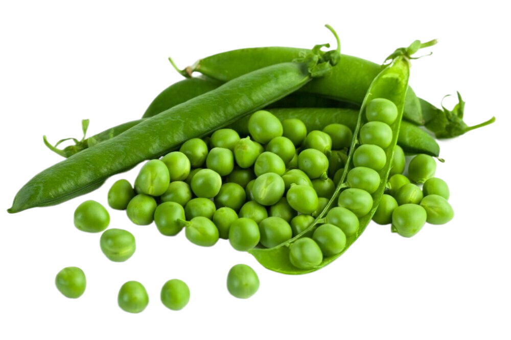 A pile of green peas in their pods on a white background