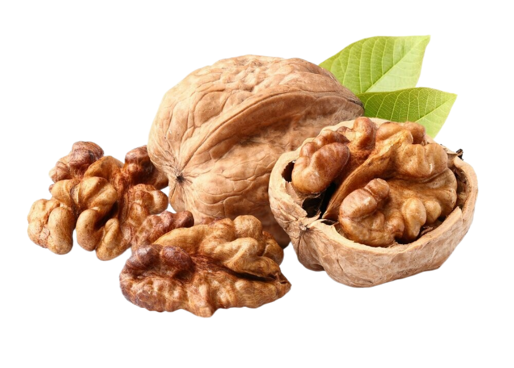 A group of walnuts with leaves on a white background