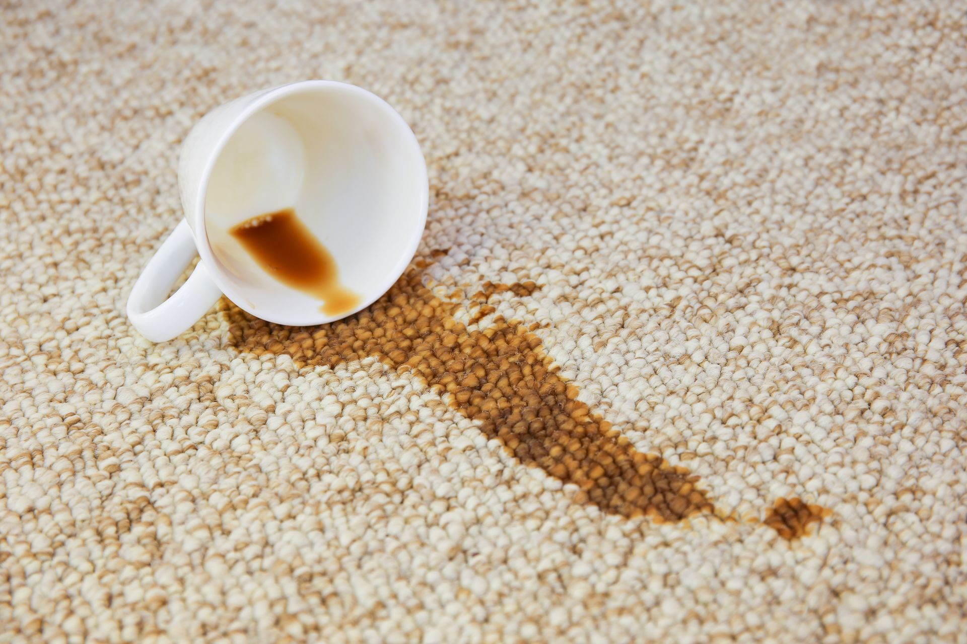 A spilled cup of coffee on a carpet.