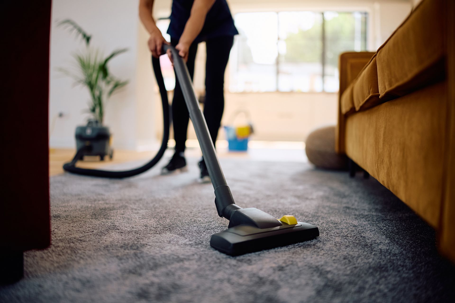 Person vacuuming a grey carpet in a living room, with a gold sofa and a potted plant in the background.