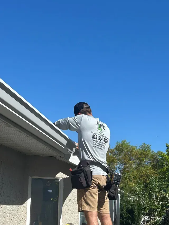 gutter cleaning tampa fl