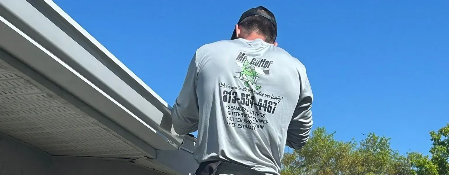 yearly gutter maintenance programs by Mr gutter inc