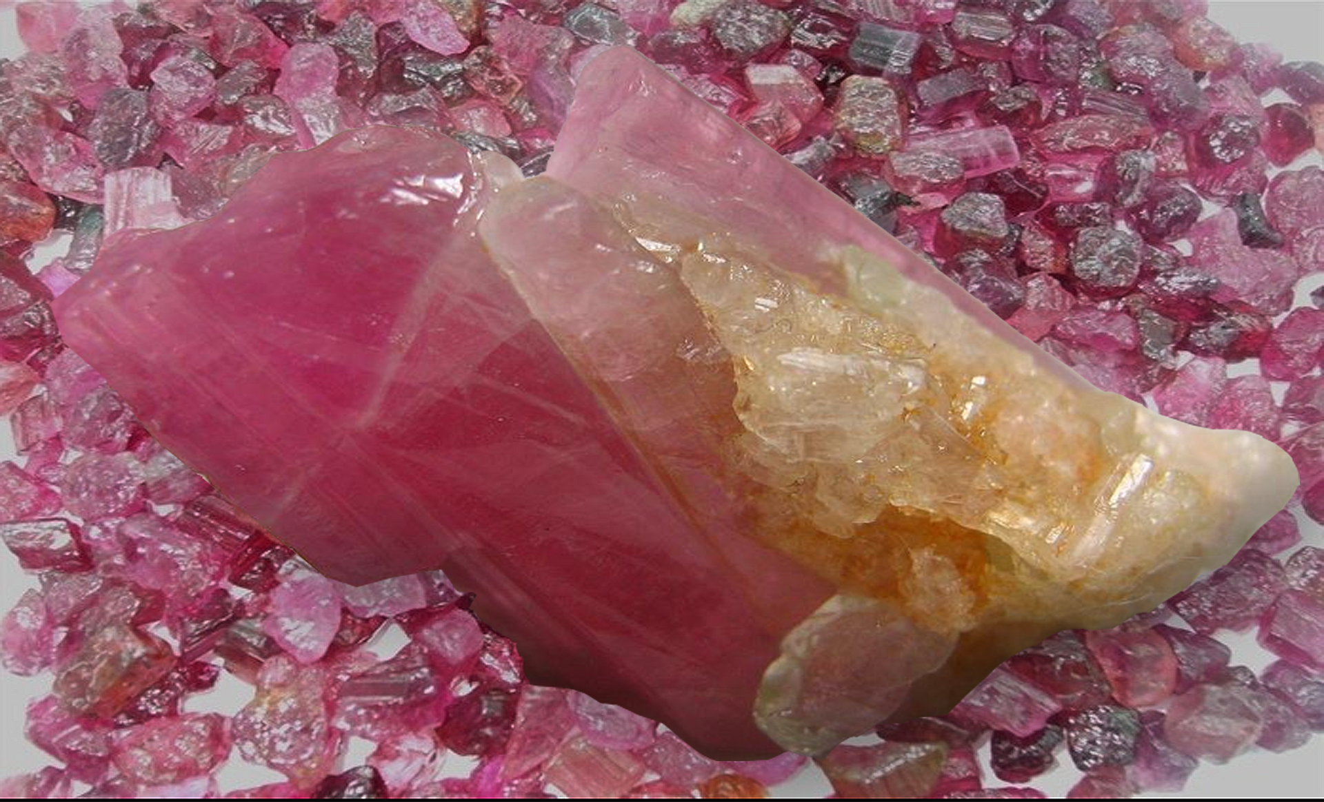 Pink crystal with a white and gold mineral tip on a bed of small pink stones
