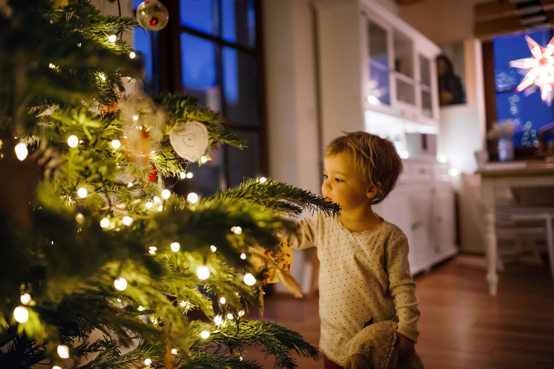 Child looking at Christmas tree