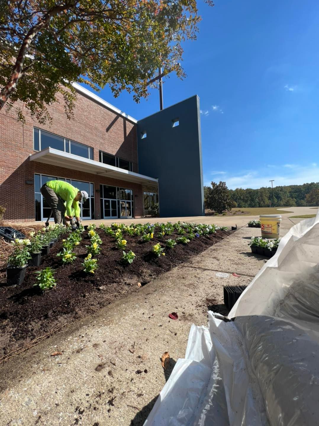 Plant Installation