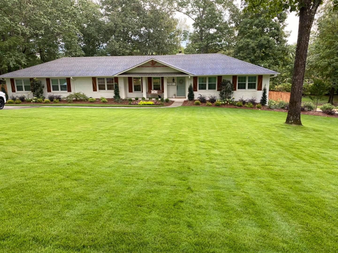 Freshly Mowed Lawn