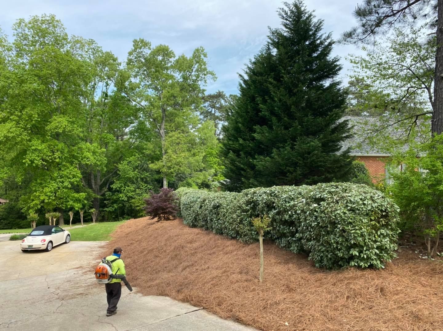 Property Clean Up