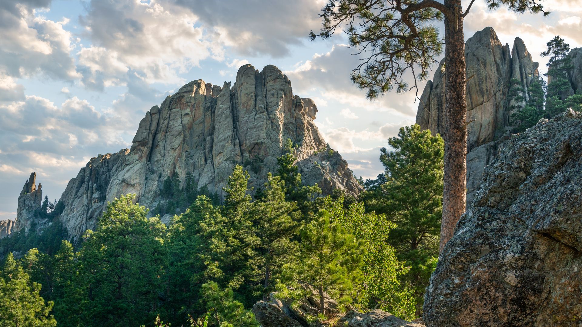 Rocky mountain cliffs above a lush green forest under a cloudy sky