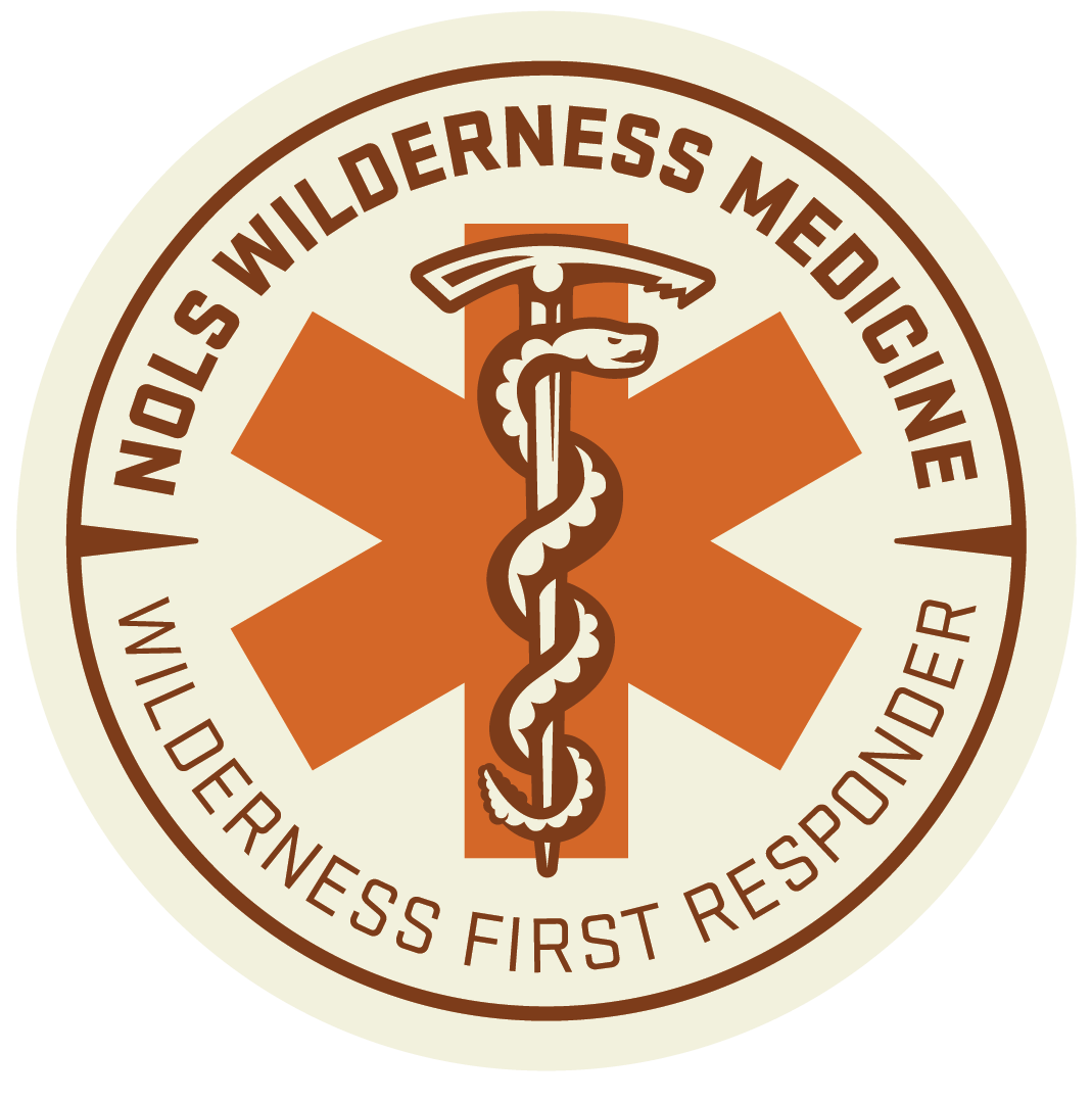 A logo for wilderness medicine with a snake on it