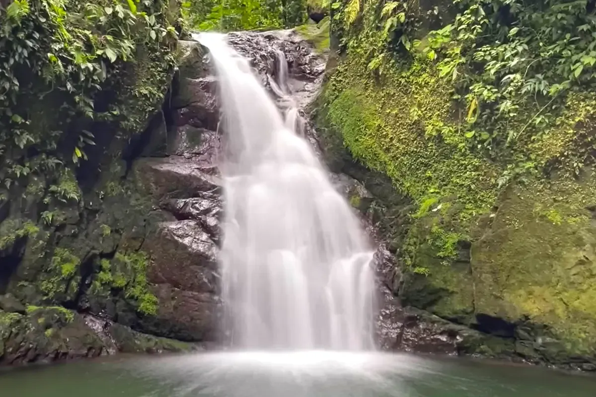 A waterfall in the middle of a lush green forest.