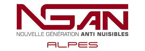 Un logo rouge et blanc pour nean sur fond blanc