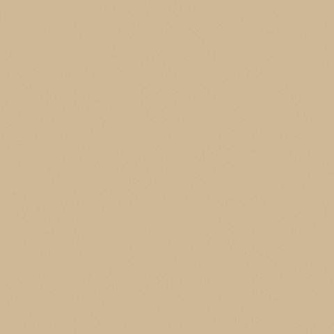 Et nærbillede af en beige baggrund med en almindelig tekstur.
