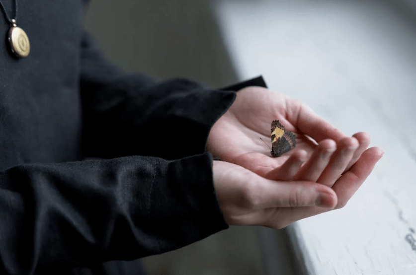 Santee SC Funeral Home And Cremations