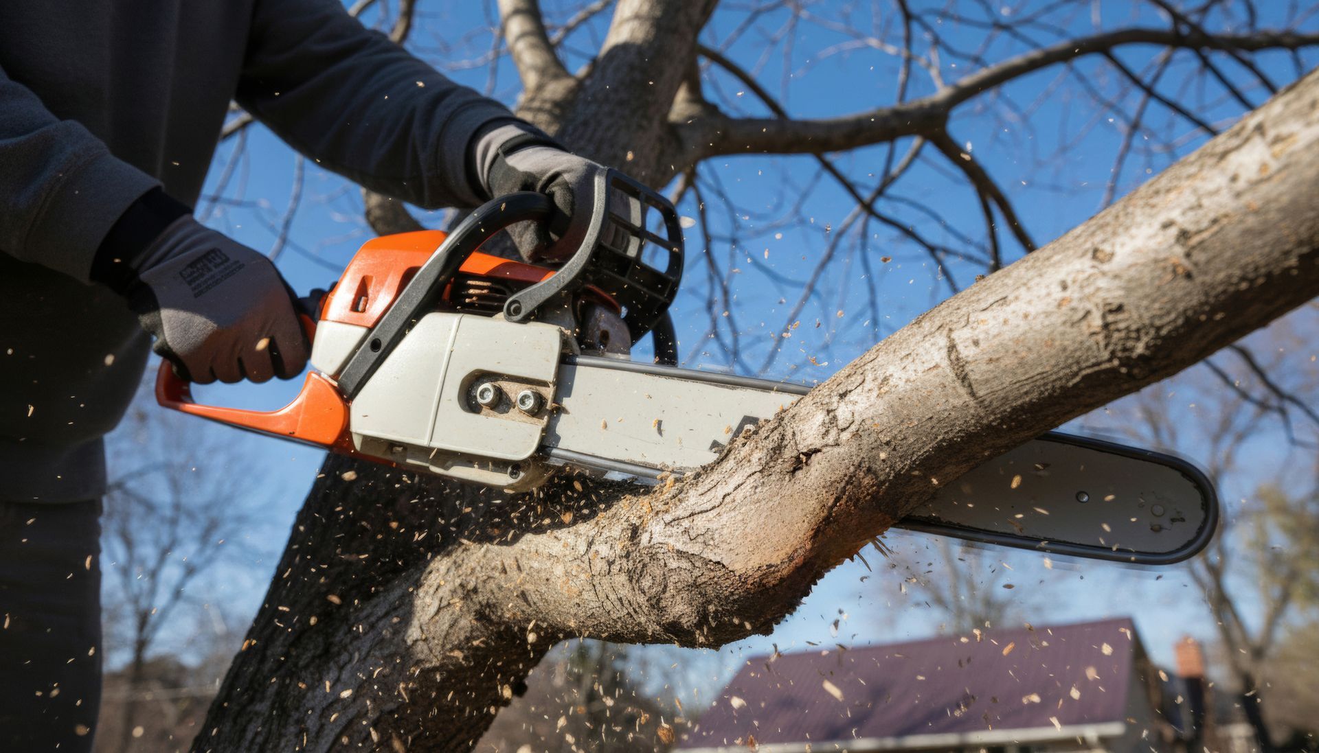 Person trimming hedges with an orange electric hedge trimmer in a garden