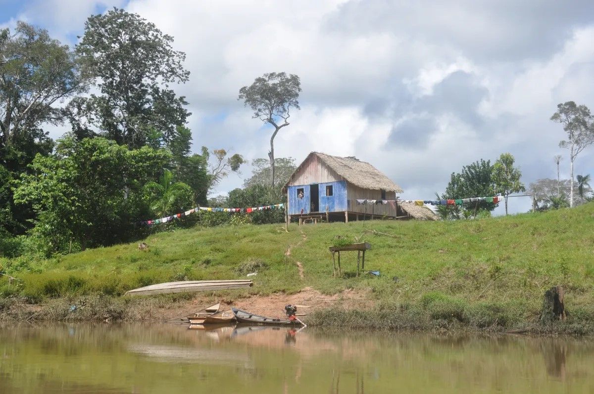 Envira Amazonia