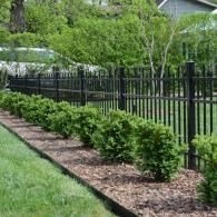 Black metal fence beside a landscaped path with trimmed shrubs and green grass in a suburban yard