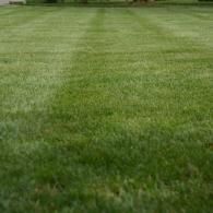Green grassy field with neatly mowed stripes, extending into the distance