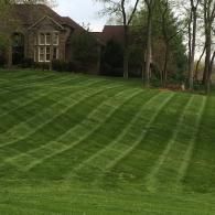 Grassy sloped lawn with striped mowing patterns beside a house and trees