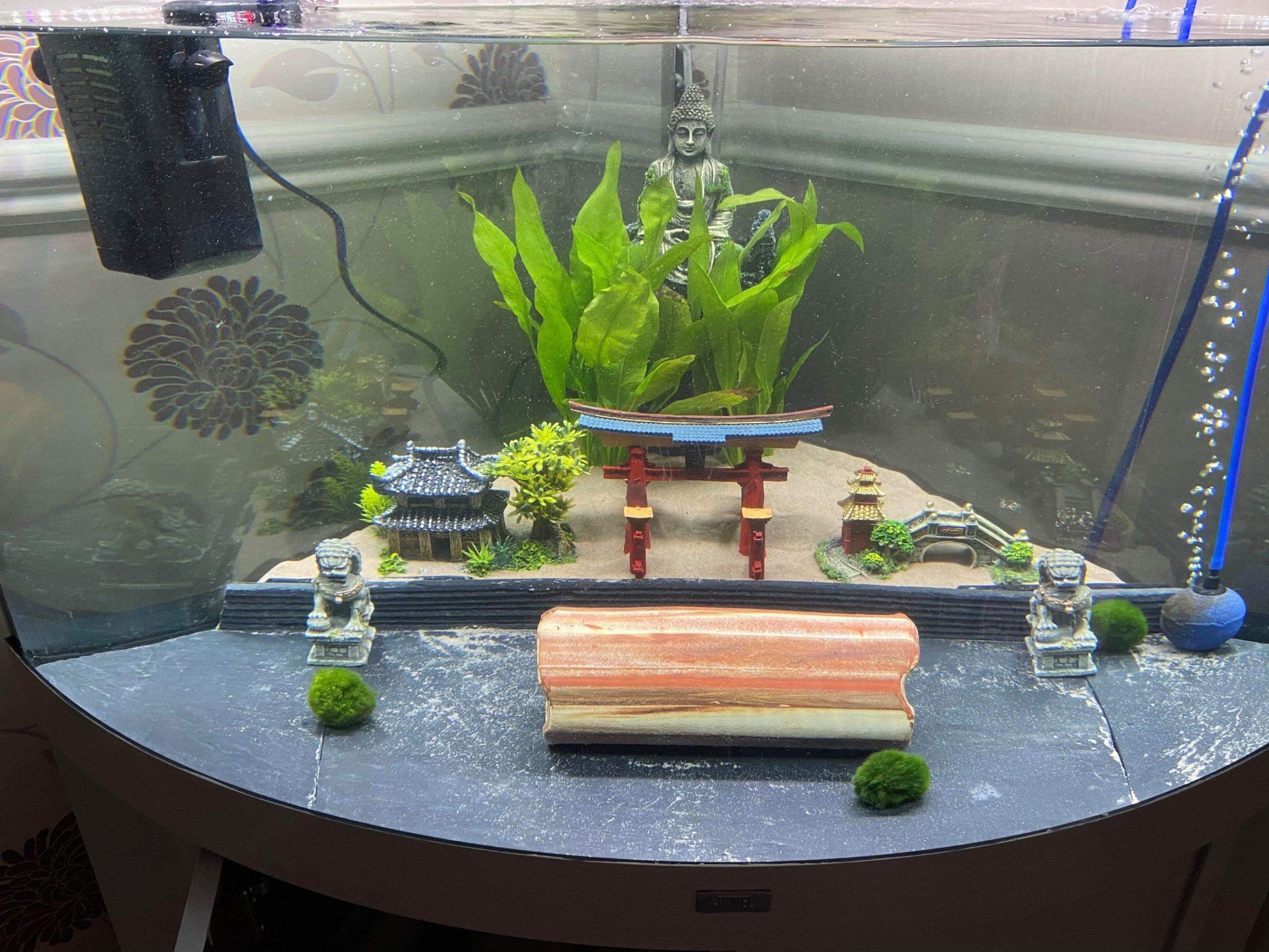 Bespoke Slate base for a Bow fronted 4ft Axolotl Tank