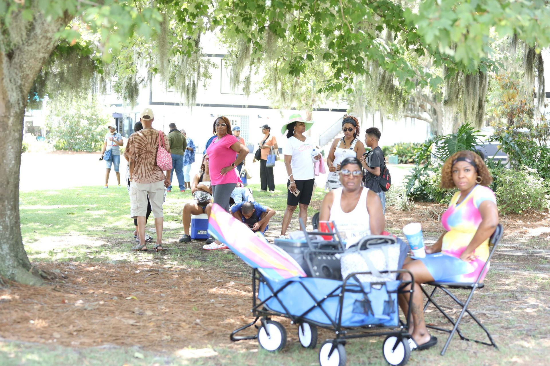 People gathered under a large tree in a park, with a blue wagon and seated chairs in the foreground.