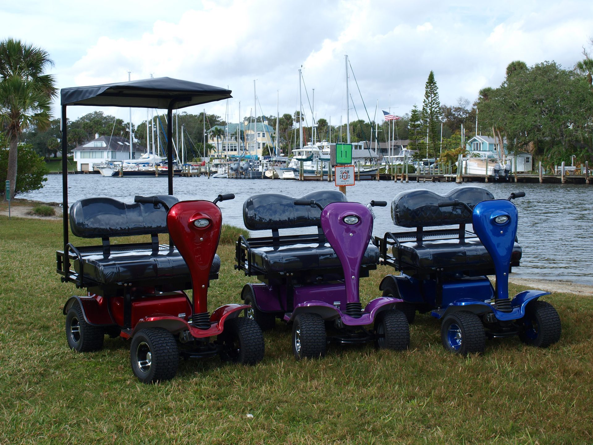 Three golf carts are parked next to each other in front of a body of water