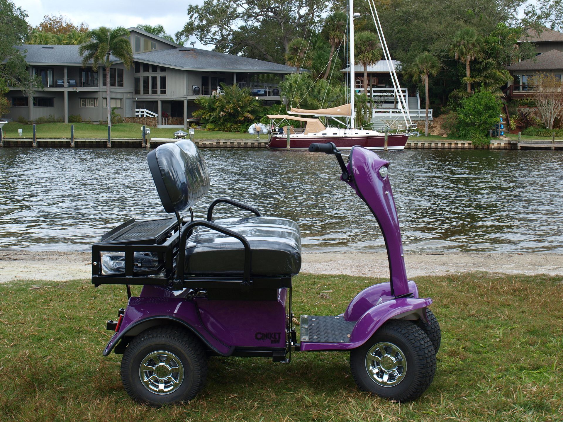 A purple golf cart is parked in front of a body of water