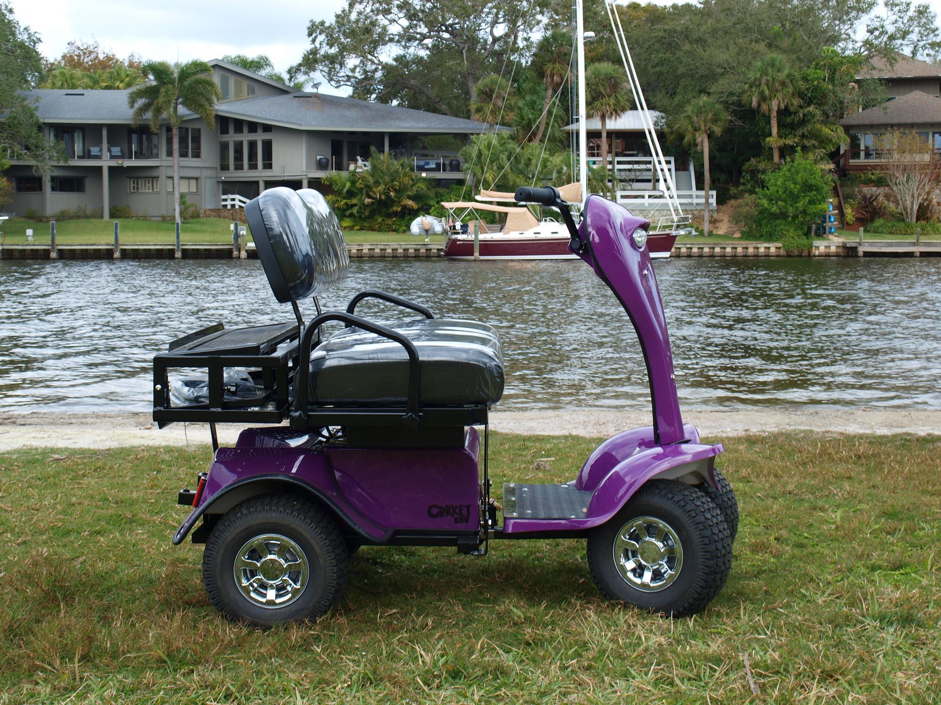 A purple Cricket cart is parked in front of a body of water