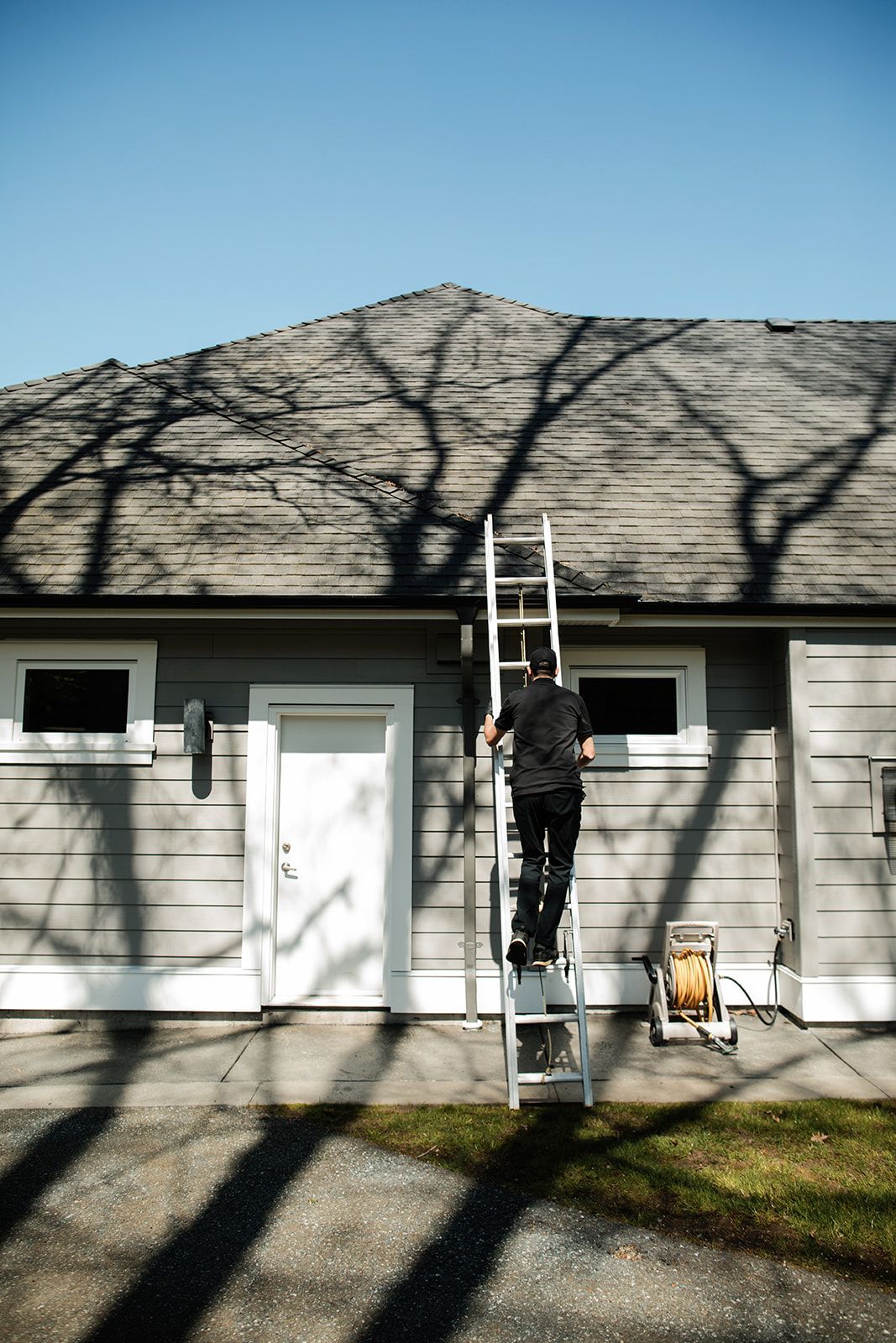 Person on a ladder painting a house exterior beneath tree shadows