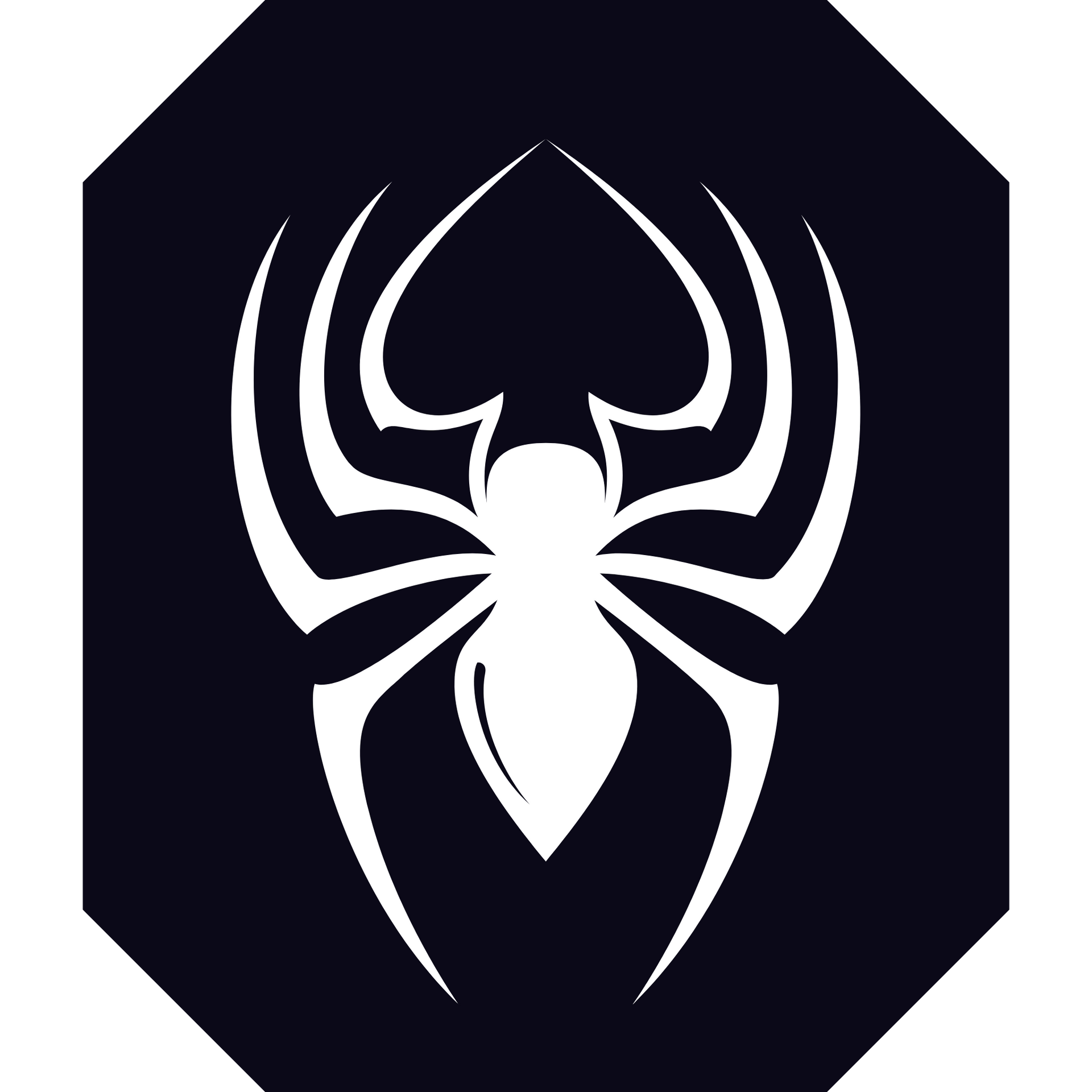 A white spider is on a black background in an octagon.