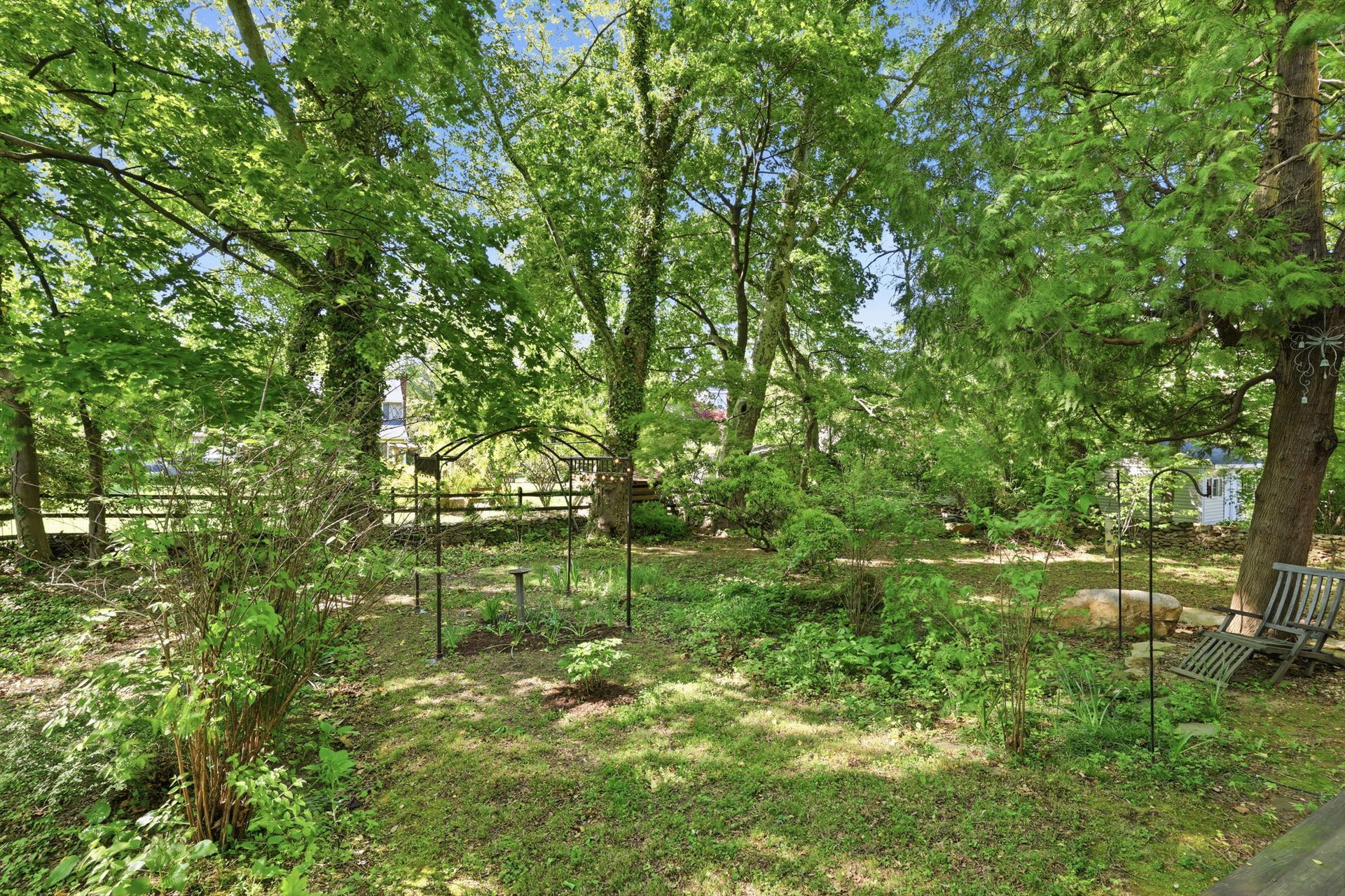 Sunny wooded garden with green trees, a small fenced area, and dappled light on the ground