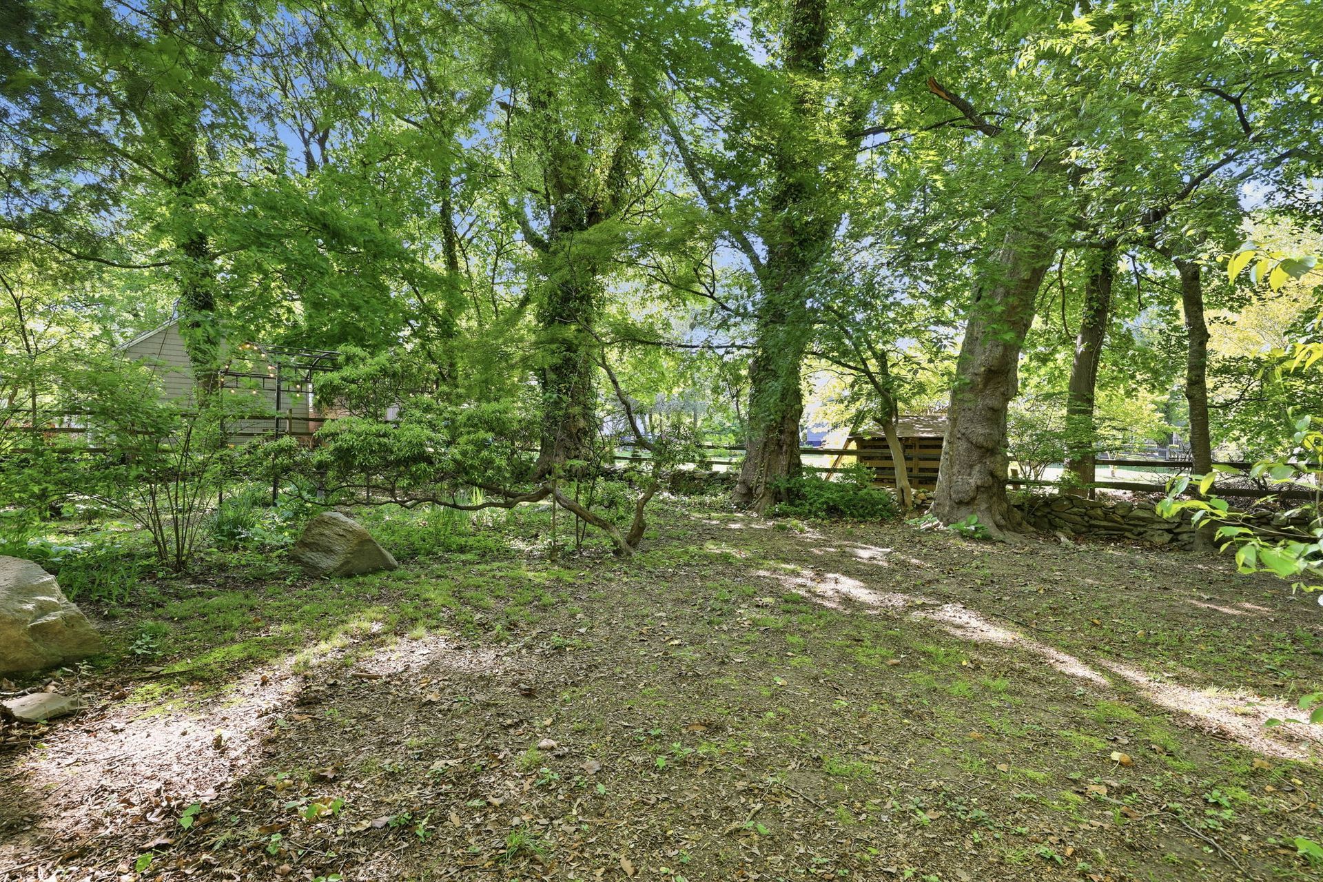 Sunny wooded park with tall green trees and a leaf-covered path
