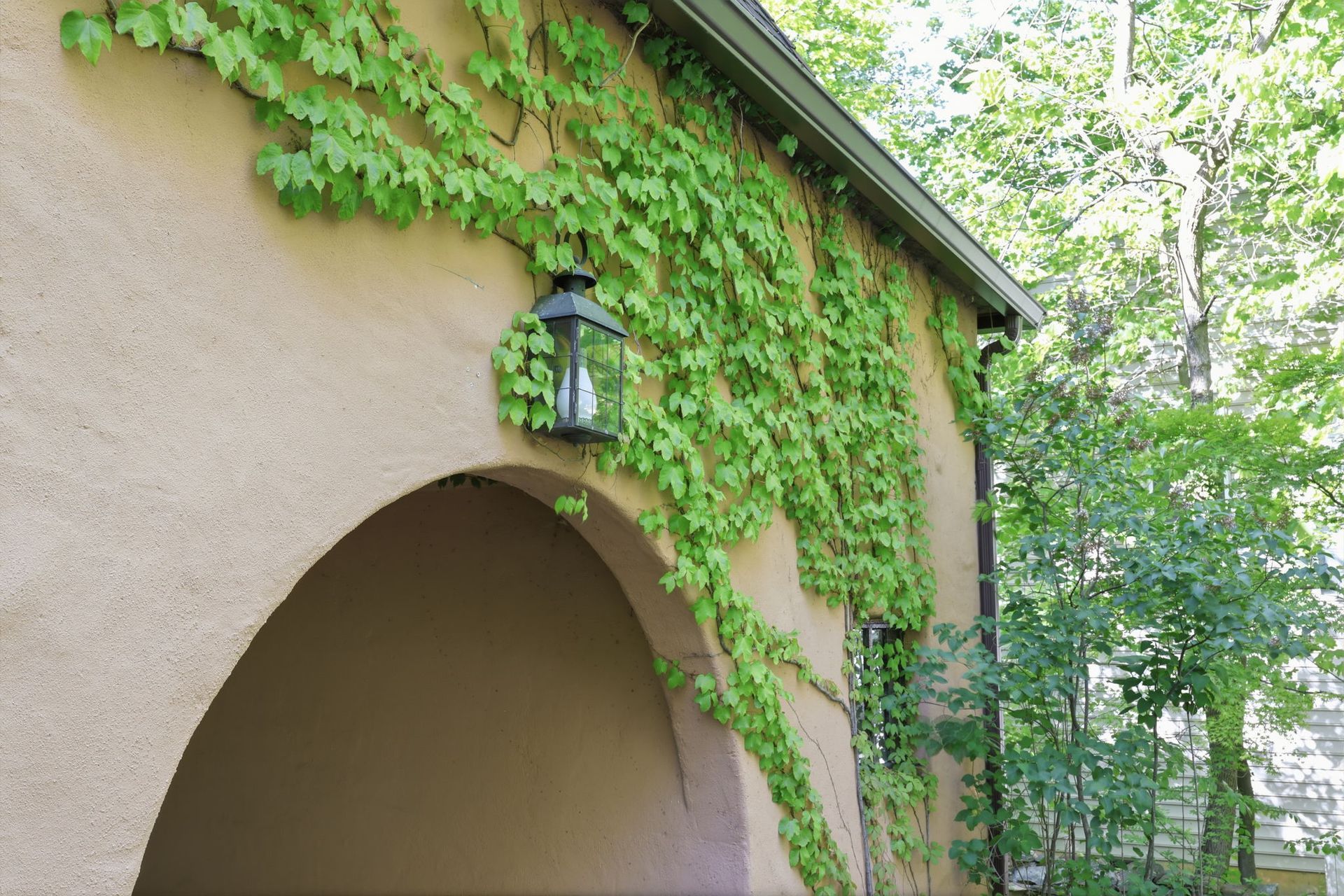 A stucco archway with ivy-covered wall and lantern, beside leafy trees in sunlight.