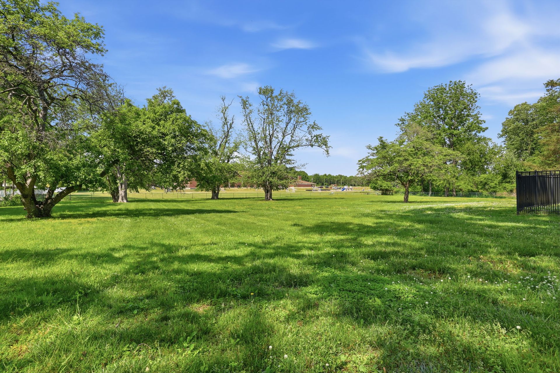 Sunny park with green grass, scattered trees, and blue sky