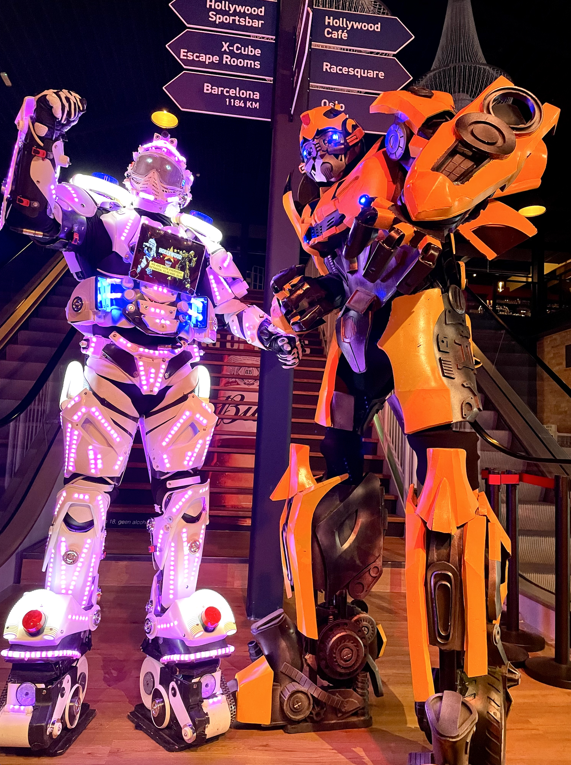 Bumblebee Robot