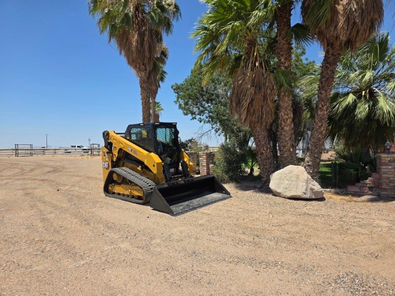 Yellow skid-steer loader parked on a dusty lot beside palm trees and a large rock
