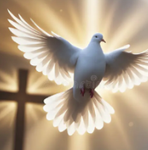 White dove with outstretched wings glowing in warm light, flying against a soft golden background
