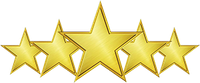 5-gold-stars