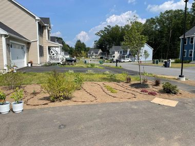 Residential street with a gravel-and-plant front yard beside houses under a blue sky