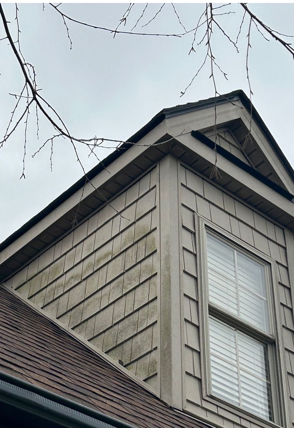 A house with a roof and a lot of windows
