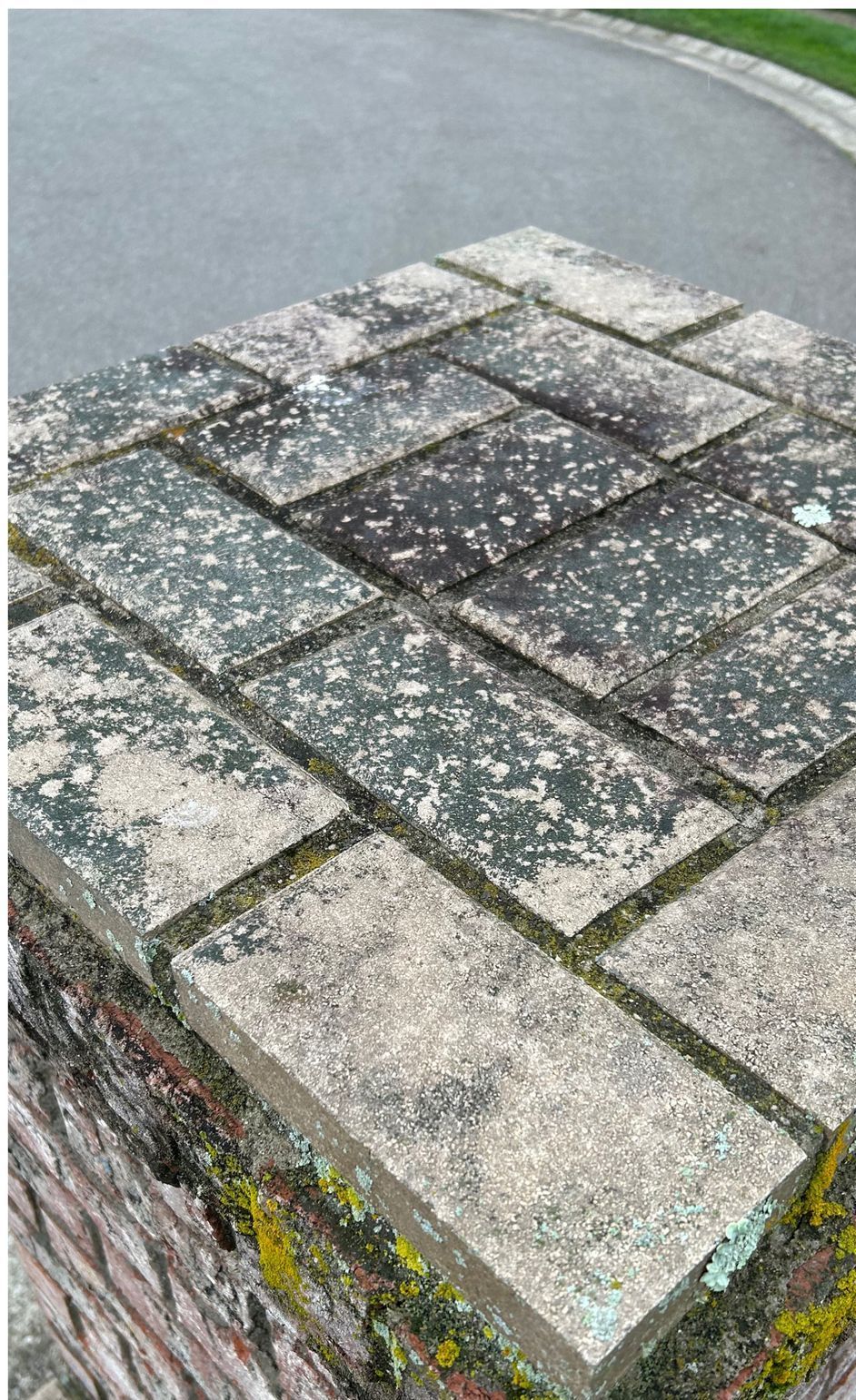 A close up of a brick wall with moss growing on it.