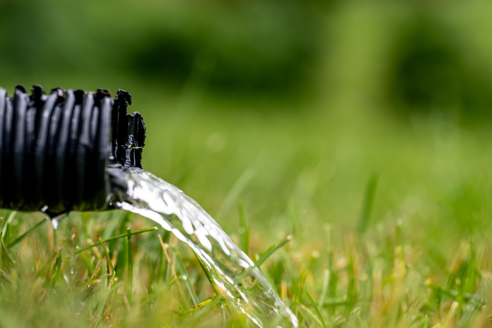 Black corrugated pipe expelling clear water onto green grass.